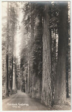 1900s B&W Real Photo Redwood Highway 101 California VTG CA RPPC Postcard picture