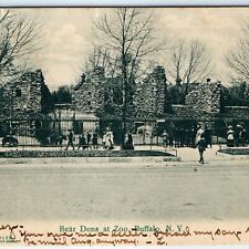 c1907 Buffalo, NY Bear Dens at Zoo Litho Photo Postcard Crowd H.L. Woehler A29 picture