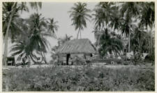 Fishermans Hut On Half Moon Bay British Honduras 1921 OLD PHOTO picture