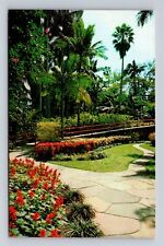 St Petersburg FL-Florida, Tall Palms & Flowers Sunken Gardens, Vintage Postcard picture
