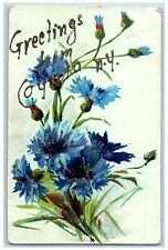 1907 Greetings from Cayuta New York NY Blue Flower Glitters Posted Postcard picture