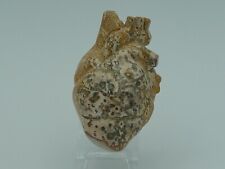 Anatomical Shaped Crystal Human Heart Leopardskin Jasper Crystal Carving 2.5
