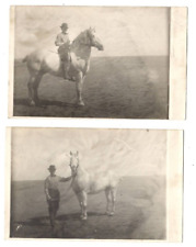 RPPC Postcard Percheron Big Draft Horse Proud Man Bowler Hat Bow Tie Equestrian picture