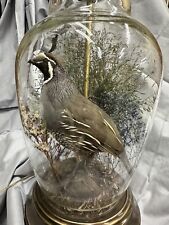 Vtg Mid Century Glass Lamp Quail Taxidermy Bird Mountain Cabin Decor-no shade picture