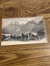 Vintage Postcard -  Switzerland - gruss aus den Bergen picture