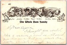 1906 The Whole Dam Family Dam Cat Lizze Annie Miss Ub Herself Mr Posted Postcard picture