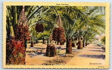 Postcard Date Gardens, California linen G122 picture