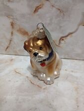 OWC Old World Christmas Brown white Bull Bulldog pup VTG glassdog ornament 12136 picture