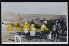 Antique Early 1900's Real Photo Postcard of Dad Milking The Cows and Little Help picture