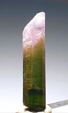 Top Bi-Colour Tourmaline Crystal From Poprook Mine. picture