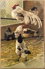 White Rooster and Hens Beautiful Embossed Chickens Vintage PFB Postcard 1907 picture