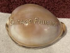 1934 CHICAGO WORLDS FAIR NATURAL CARVED SEASHELL SOUVENIR  picture