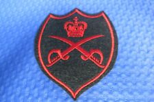 British Army Physical Training Instructor Tracksuit Badge picture