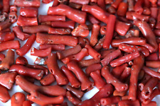 96 Grams Genuine Antique Mediterranean Red Coral Branches Beads With Hole picture
