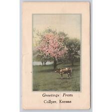 Postcard KS Greetings From Collyer Kansas picture