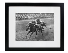 Triple Crown Winner Race Track Horse Secretariat Matted & Framed Picture Photo picture