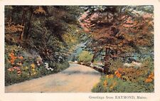 Raymond ME Maine Scenic Dirt Road c1930 Summer Vacation May B Vtg Postcard D43 picture