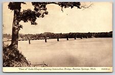 View of Lake Chapin Interurban Bridge Berrien Springs Michigan 1934 Postcard picture
