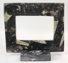 Orthoceras Fossil Picture Frame - Morocco picture
