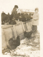 Vintage Real Photo Postcard RPPC Farm Homestead Children Feeding Chicken Hens picture
