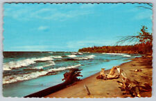 Driftwood On Beach Rolling Waves Maine Vacationland Chrome Postcard picture