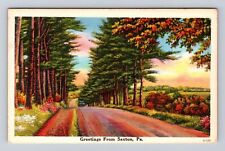 Saxton PA-Pennsylvania, Scenic Greetings, Road, Antique Vintage Postcard picture