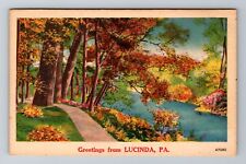Lucinda PA-Pennsylvania, Scenic Greetings, River, Vintage Postcard picture