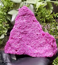 Ruby Red Corundum Rough Crystal Mineral Specimen, Afghanistan 944g picture