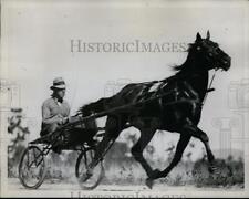 1934 Press Photo Harness racing horse Brown Worthy. a Hambletonion candidate picture