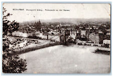 Budapest Hungary Postcard Dunaparti Latkep Partial View on the Danube 1922 picture