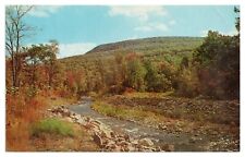 Vintage Big Pocono Camelback Mountain Postcard Tannersville PA Unposted Chrome picture