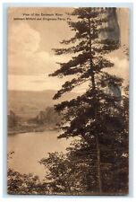 1911 View of the Delaware River Between Milford and Dingmans Ferry PA Postcard picture