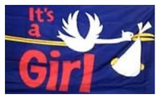 2 ITS A GIRL baby FLAG 3X5 flags banners babies girls picture