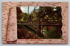 Rustic Bridge Lake Park Wisconsin Vintage Posted 1907 Postcard picture