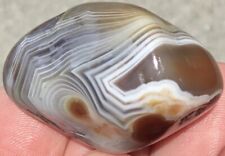 1.2 oz Lake Superior Agate TOP SHELF Polished Eye High Contrast Collector Piece picture