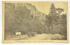 Antique The Palisades Postcard Cimarron Canyon Raton New Mexico  picture