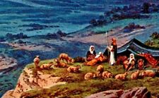 C.1910s Religious Christmas. Sheperd's Field Near Bethlehem. Sheep. VTG Postcard picture