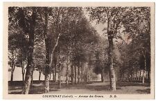 CPA 45 - COURTENAY (Loiret) - Avenue des Ormes - D. D. picture