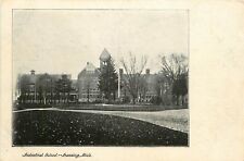 Michigan, MI, Lansing, Industrial School UDB (pre-1907) Postcard picture