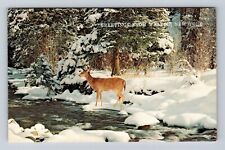 Walton NY-New York, General Greetings, Deer in Winter Scene, Vintage Postcard picture