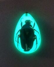 Green Irredescent Scarab Beetle In Glow In The Dark Resin Charm Only picture