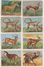  SET BREAK 1909-11 Hassan Cigarette ANIMALS PICK ONE CARD/MORE AFFORDABLE picture
