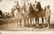 Four Premium Horses, Randolph, Nebraska NE RPPC 1908 Postcard picture