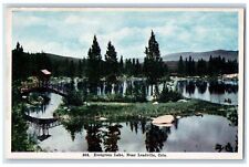 c1920s Evergreen Lake Near Leadville Scene Colorado CO Unposted Vintage Postcard picture