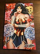 DCS HOW TO LOSE A GUY GARDNER IN 10 DAYS #1 ARIEL DIAZ VARIANT DC COMICS 2024 picture