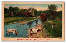 1948 Greetings From Wayne City Cows Scene Illinois IL Posted Vintage Postcard picture