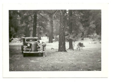 1937 Chrysler Coupe, - Gentleman Woods Snapshot VTG 1930s Real Photo picture