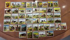1910 Hassan Indian Life in the 60s Complete Set Exc Cond 50 Cards Tobacco picture