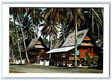 Malacca Malaysia Postcard Nipa Hut Coconut Trees c1950's Vintage Unposted picture