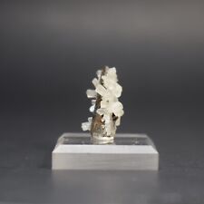 Great Calcite Cluster (Fujian, China)  -  # 210 picture
